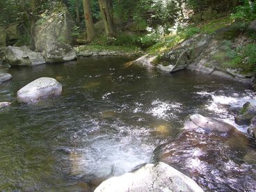 Cabin at the Falls