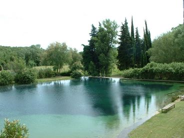 The 1400 sq. foot private, spring-fed swimming lake.