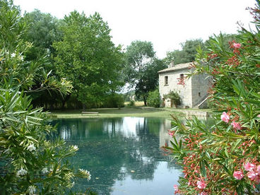 Villa Plantat  - Elegant, Affordable Estate and Vineyard w Swimming Lake