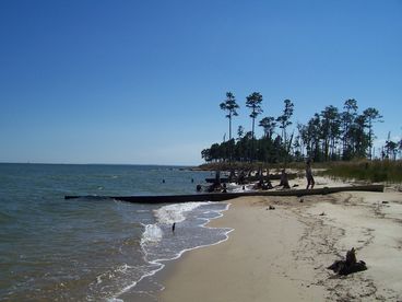 Beach #2