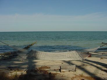 Swing by the Bay