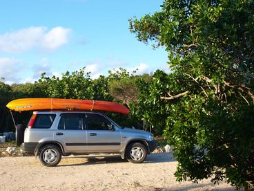 Try a kayaking tour and see the untouched beauty of saltwater creeks Fox Field, Billy Wells, Pigeon Cay.