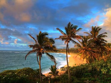 Wailua Bay View 204