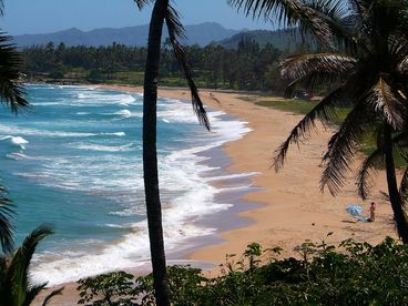 Wailua Bay View 204