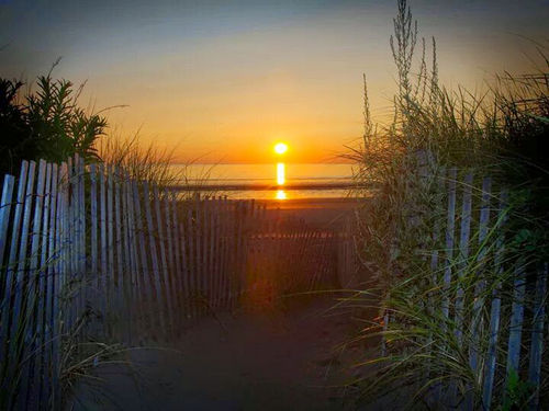 View July 714 2024  Nantasket Beach