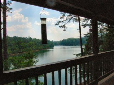 This beautifully landscaped, secluded cottage is situated on the peaceful Lake Nottely in Blairsville, GA. The private dock is great for sunbathing or for swimming or fishing in the clear refreshing waters. Nottely Marina is only a mile away if you wish to rent a boat. 