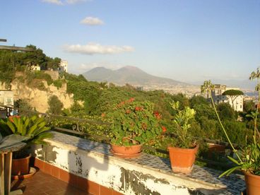 view from the terrace
