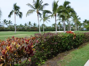 KEAUHOU @ KEAUHOU PUNAHELE 2/2 PATIO LEVEL  KONA CCLUB GOLF SALE $99-$109