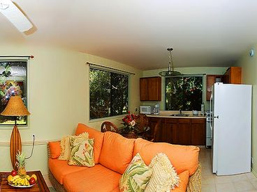 Living room and Kitchen