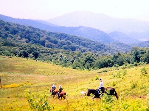 Lunch Ride On Carter's Mountain