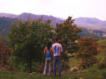 View From The Cabins 