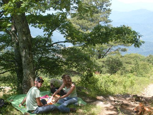 Mountain Picnic