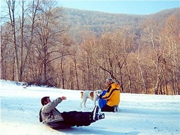 Sledding On The Games Lawn