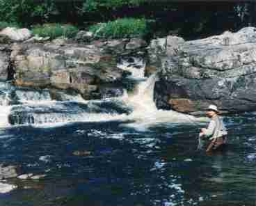 The Adirondacks has 1000 of rivers, streams, ponds and lakes to fish. You might just want to hike to a remote pond and dip your feet into the cool & clean mountain water.