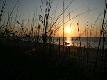 Sunset are gorgeous as the sun sets behind Ft. Pulaski each evening.... and the moon rises.