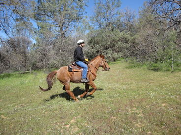Riding in the open