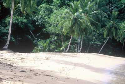 Englisman\\\\\\\\\\\\\\\'s Bay beach