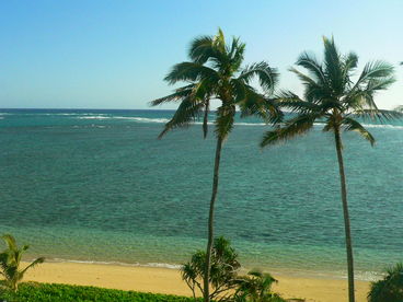 Fabulous North Shore Remodeled Condo on Reef-Protected Beach with Free WIFI