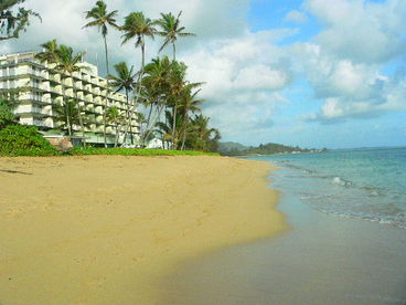 Fabulous North Shore Remodeled Condo on Reef-Protected Beach with Free WIFI