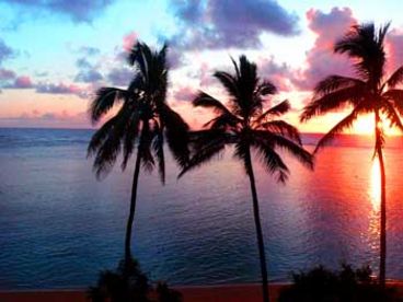Fabulous North Shore Remodeled Condo on Reef-Protected Beach with Free WIFI