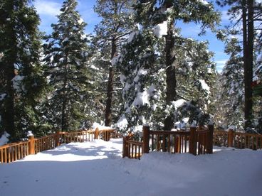 Back Deck in the Snow