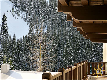 Deck View