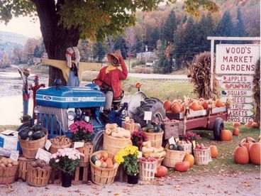 Mountain Valley Farm in Brandon