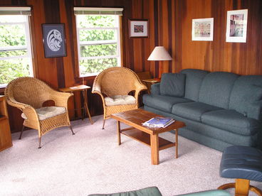 Sunny Living Room with Hide-a-bed Sofa