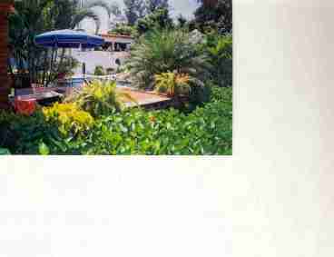 Garden Area