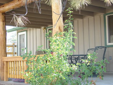 Relaxing front porch