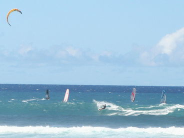 Photo 7