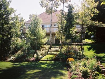 Back garden