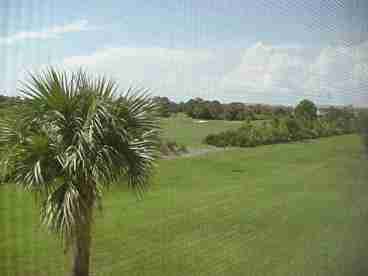 VIEW FRM YOUR LANAI