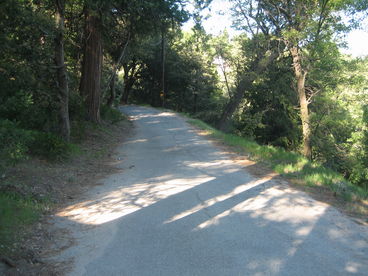 Our street is like Mr.Toads wild adventure ride form Disney Land. 