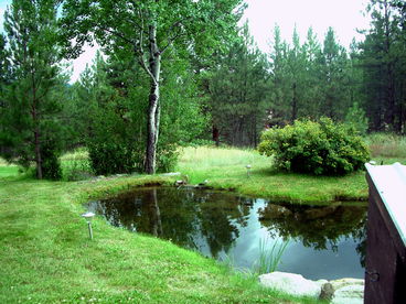 Pond