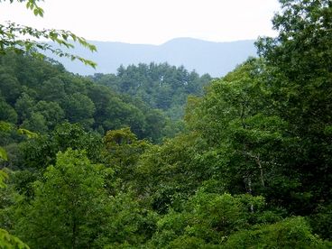 View from deck