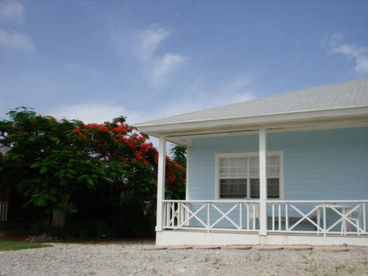 A lovely Poinciana tree adorns the side of The Blue Cottage.