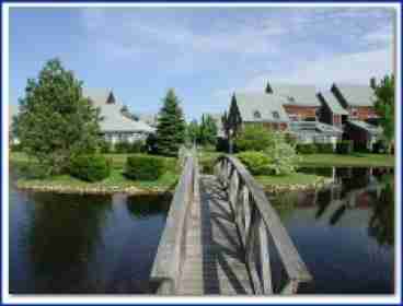 Large Pond on property