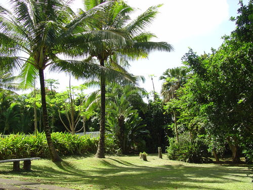 Side yard, perfect for parties and events
