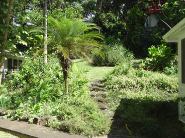 Grounds