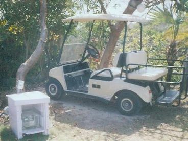 4-person golf cart