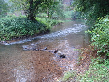 Vacation Home on Babbling Brook