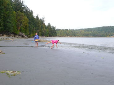 Beautiful sandy beach