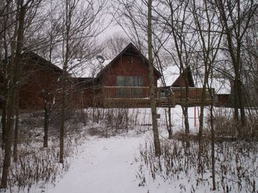 Photo 4
