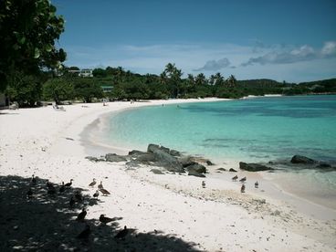 Sapphire Beach - A Jewel