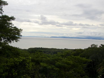 Balcony - Ocean View