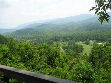 The View