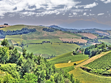 Surroundings