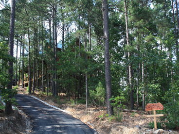 Cross Timbers