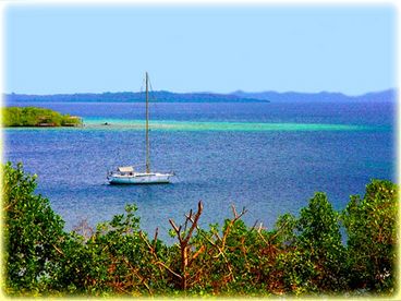 Bocas Seaview Condos